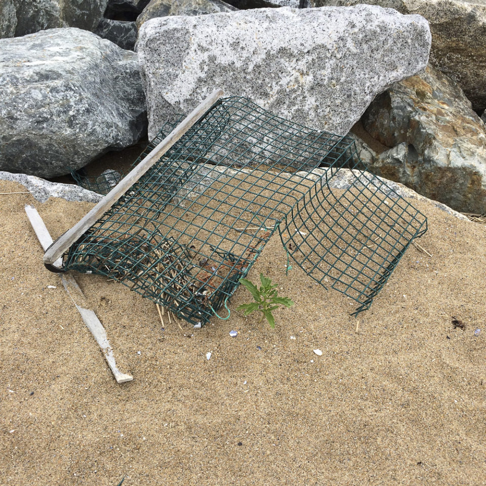 Lobster trap washed ashore