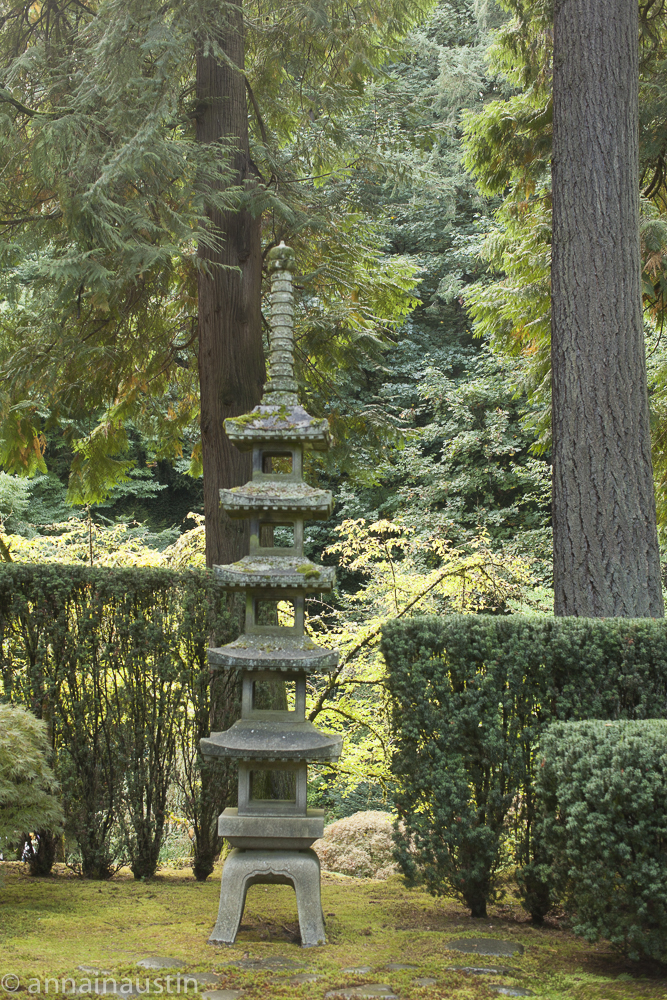 Portland Japanese Garden, 2014-9974