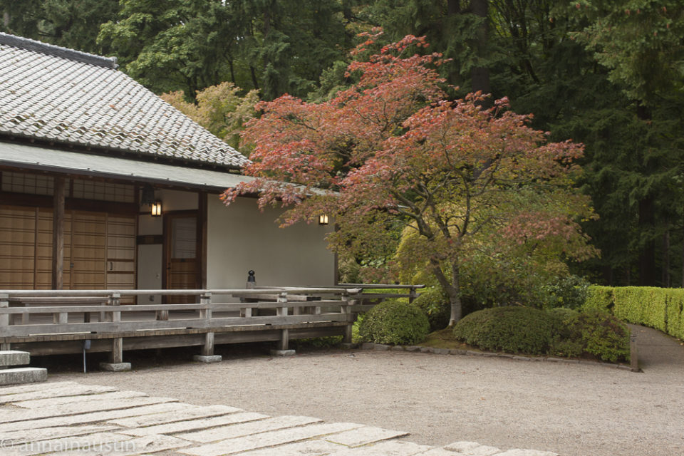 Portland Japanese Garden in Fall,  Portland, Oregon 2014-0250