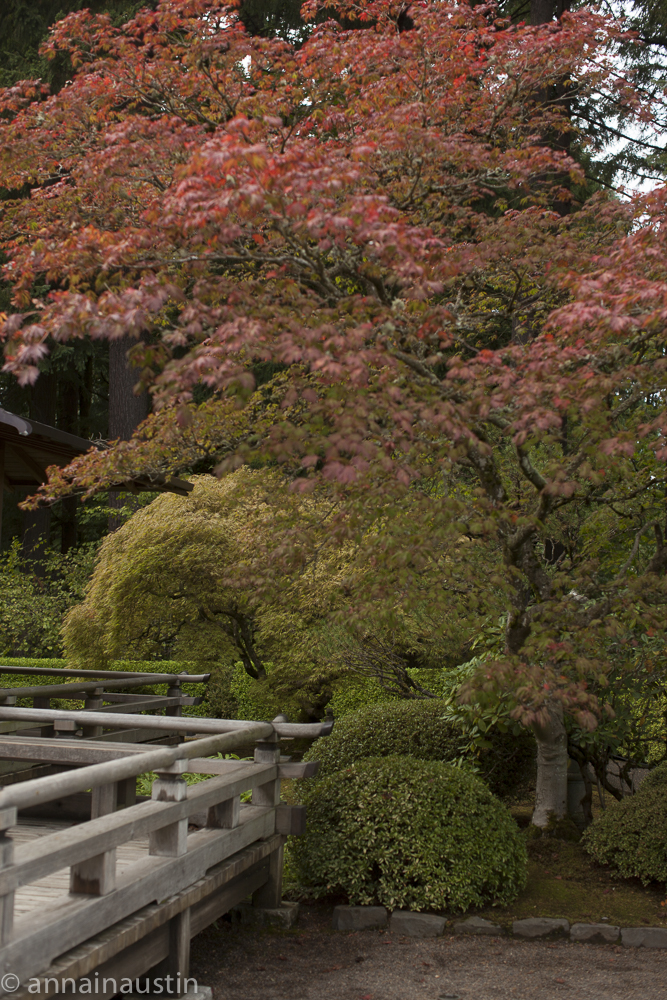 Portland Japanese Garden in Fall,  Portland, Oregon 2014-0274